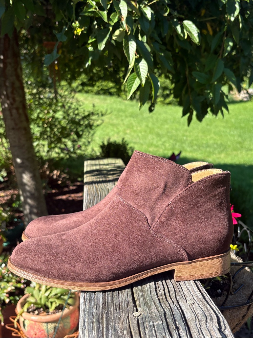 SONOMA with Ortholite eco Chelsea Ankle Boots Frannee Brown Size 9 Like New